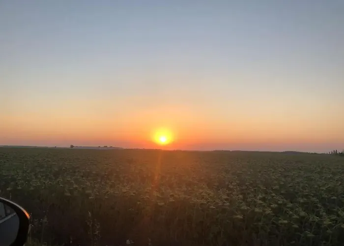 Dream & Ice Cream In Apartamento *